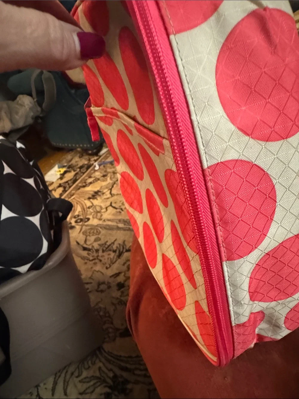 thirty-one compact lunch